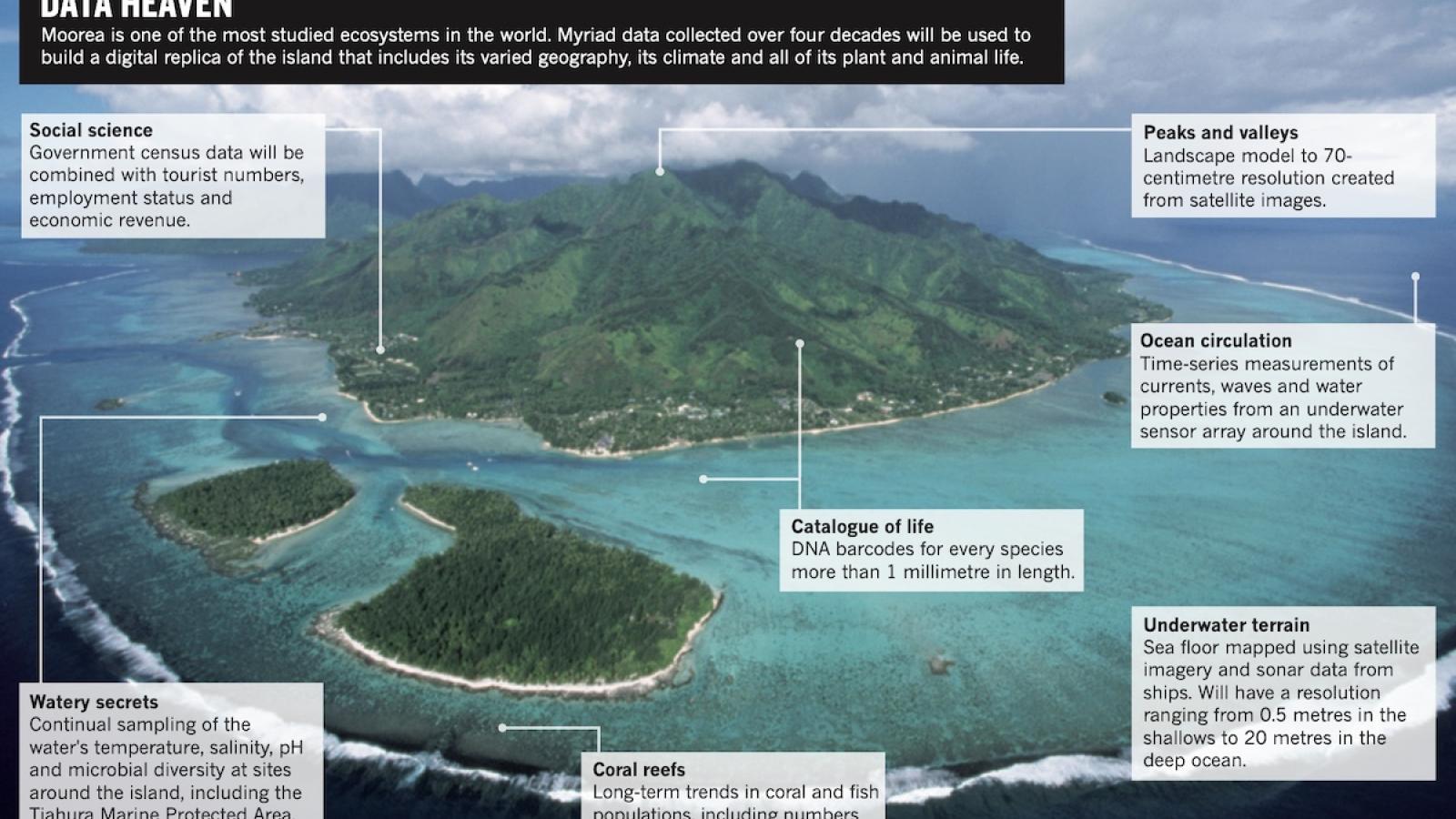 Tropical paradise inspires virtual ecology lab