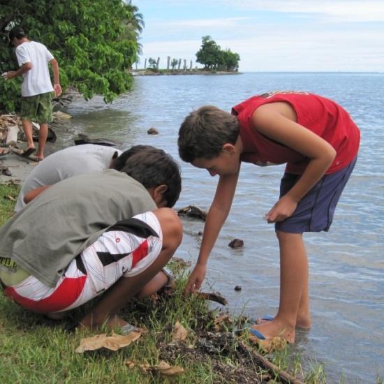 beach ecosystem investigations