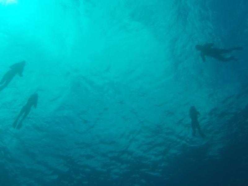snorkeling the deep