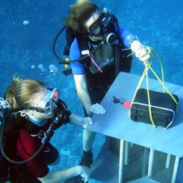 Moorea Coral Reef Long Term Ecological Research IV | Gump Station